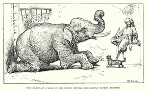  av Henry Justice Ford