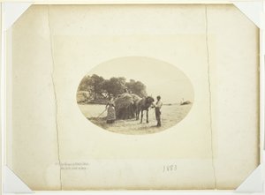 På bakkene til Cader-Idris, The Last Load of Hay av Henry Peach Robinson