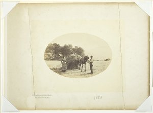 På bakkene til Cader-Idris, The Last Load of Hay, 1883. av Henry Peach Robinson