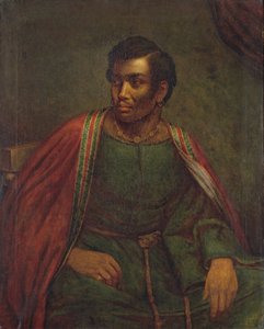  av Henry Perronet Briggs