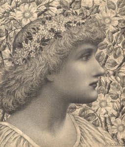 Florimel (blyant og kritt på papir) av Henry Ryland