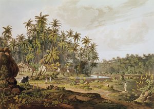 Utsikt nær Point du Galle, Ceylon, gravert av Daniel Havell (1785-1826) publisert i 1809
