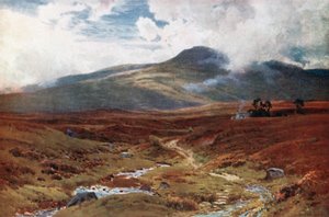 En myr nær Killin, Perthshire (fargelitografi)