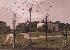 Owling, gravert av I. Clark, pub. av T. McLean, London av Henry Thomas (after) Alken