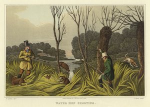 Vannhøneskyting (chromolitho)