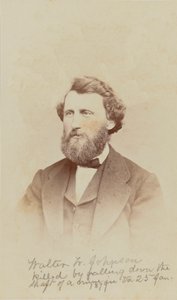 Carte-de-visit-portrett av Walter W. Johnson, 1868.