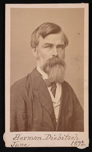 Portrett av Herman Henry Diebitsch 1818-1883, 1871.