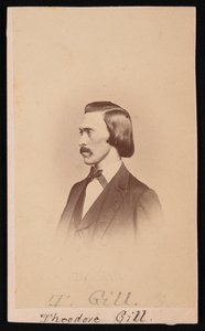 Portrett av Theodore Nicholas Gill 1837-1914, mellom 1865 og 1870.