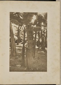  av Henry W. Cave