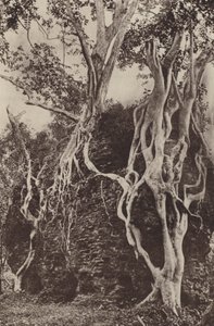 De ødelagte byene på Ceylon: Kotuwa (s/hvitt-bilde)