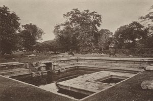 Ceylons ruinerte byer: Pokuna (s/hv-bilde)