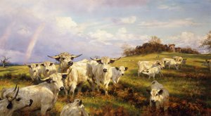 Wild Cattle of Chartley, Chartley Castle Beyond, 1902