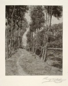  av Henry Wolf