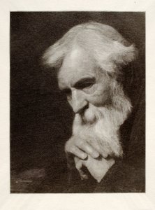  av Henry Wolf