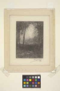 In The Adirondacks (blekk) av Henry Wolf