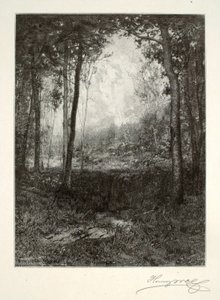  av Henry Wolf