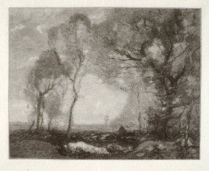  av Henry Wolf