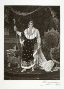 Napoleon som keiser