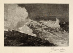  av Henry Wolf