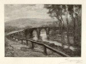  av Henry Wolf