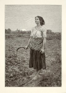  av Henry Wolf