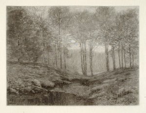  av Henry Wolf