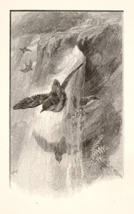  av Henry Wolf
