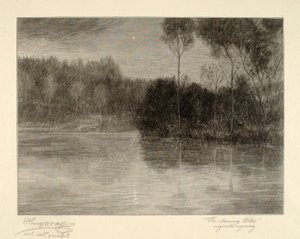  av Henry Wolf