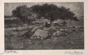 Veikanten. av Henry Wolf