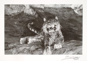  av Henry Wolf