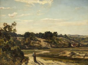 Pas de Calais - Blant sanddynene