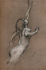 Flying Fish Study, c1910