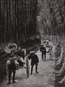 A Bamboo Avenue i Kyoto (s/hvitt bilde) av Herbert Ponting