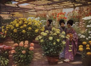 På Chrysanthemum Show (bilde) av Herbert Ponting