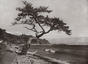 Atami (s/hvitt bilde) av Herbert Ponting