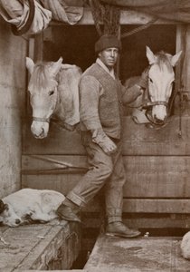 Kaptein Oates og ponnier på Terra Nova, c1910-1912, 1913. av Herbert Ponting
