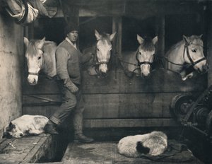 Kaptein Oates, på Terra Nova med de sibirske ponniene, c1911, 1914.
