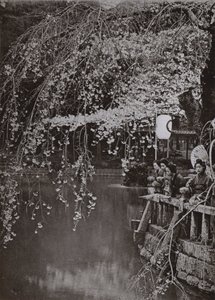Cherry-Blossom Time i Japan (s/hvitt bilde) av Herbert Ponting