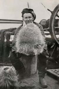 D. G. Lillie, med noen av siliciumsvampene, c1911, 1913 av Herbert Ponting
