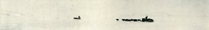 Hunder som galopperer mot barrieren, c1911, 1913 av Herbert Ponting