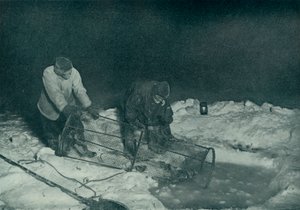 Dr. Atkinson og Clissold Hauling Up The Fish-Trap, 28. mai 1911, 1913 av Herbert Ponting