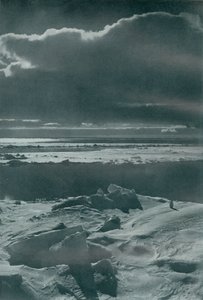 Kveldsscene i flokken, c19101913, 1913 av Herbert Ponting