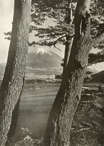 Fuji Through the Pines of Lake Motosu, 1910. av Herbert Ponting