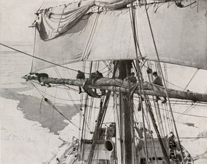 Rulleseil i flokken, c19101913, 1913 av Herbert Ponting