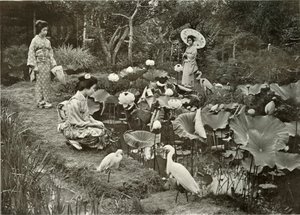 I Lotus-Land, 1910. av Herbert Ponting