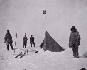 "Det var et svart flagg, det norske flagget. Amundsen var først på polet" (s/hvit foto) av Herbert Ponting