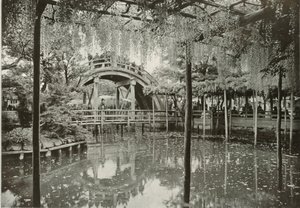 Kameido, 1910. av Herbert Ponting