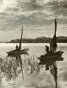 På Tokyo Bay, 1910. av Herbert Ponting