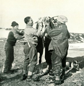 Ponni tar whisky, 8. februar, 1911, 1913 av Herbert Ponting