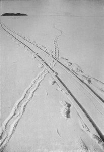 Sledge Track Crossing An Adélie Penguins Track, 8. desember 1911, 1913 av Herbert Ponting